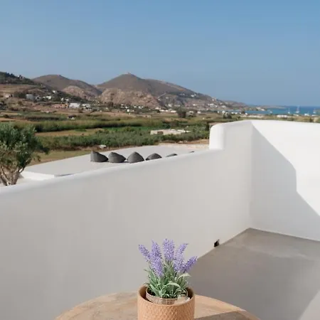 Villa Calm House *